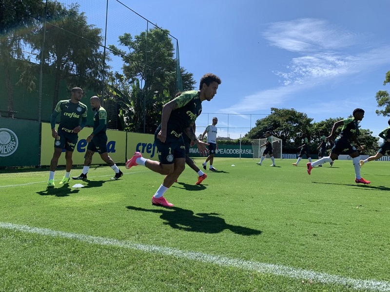 Reprodução / Twitter do Palmeiras