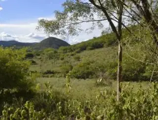 No dia da Caatinga, IMA Alagoas alerta para a importância da preservação do bioma