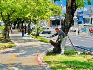 Além da limpeza, Prefeitura de Maceió aplica placas de grama no canteiro da Avenida Fernandes Lima