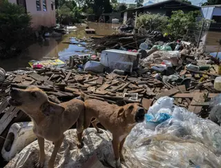 Quase 10 mil animais foram resgatados durante as enchentes no RS