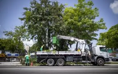 Clima chuvoso: Prefeitura de Maceió intensifica poda de árvores em avenidas da capital