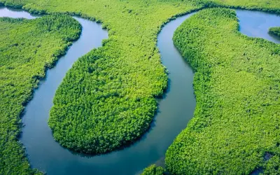 Documentário com Will Smith descobre anaconda na Floresta Amazônica