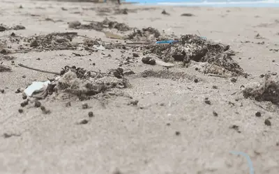 Brasil tem quantidade alarmante de microplástico nas praias; revela estudo