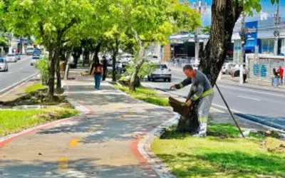 Além da limpeza, Prefeitura de Maceió aplica placas de grama no canteiro da Avenida Fernandes Lima